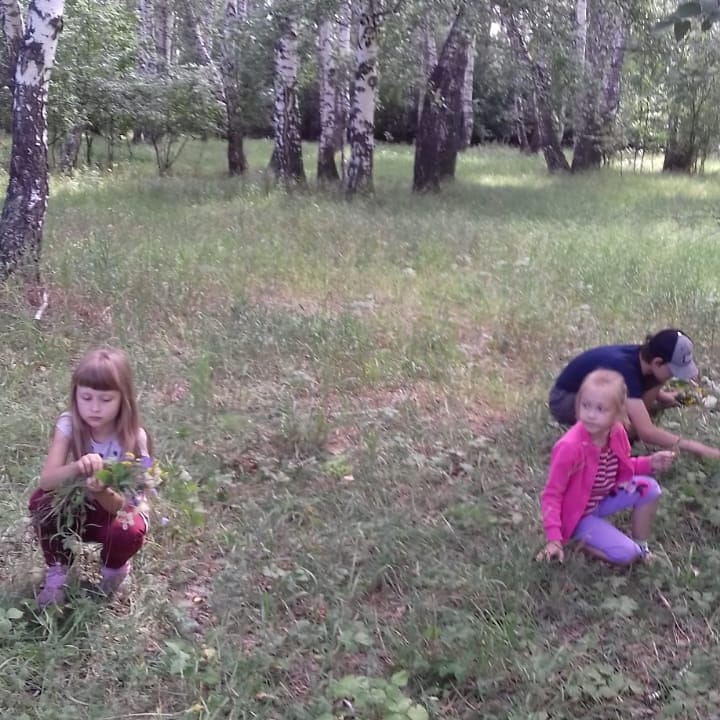 IMG 20200724 140410 530