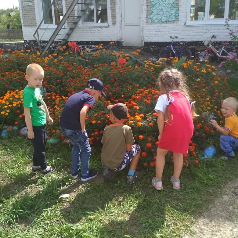 IMG 20200817 161639 367