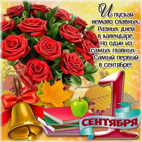 WhatsApp Image 2020 09 01 at 11.40.23