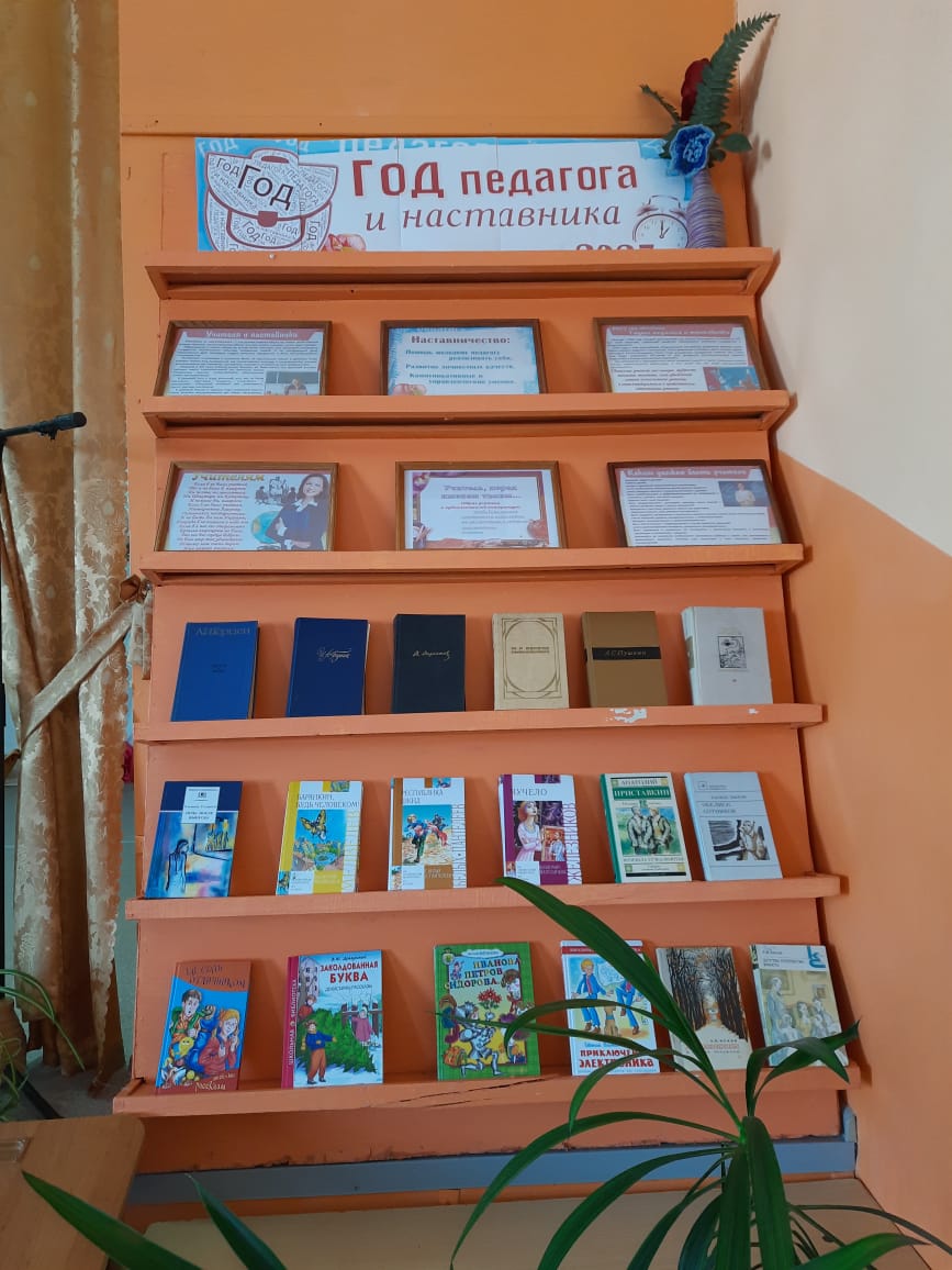 Большепанюшевская сош 2