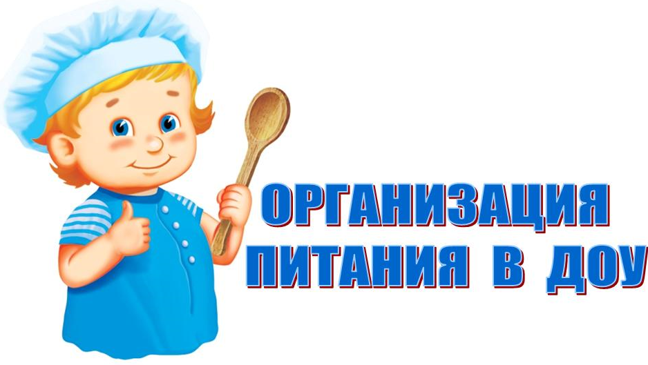 organizatsiya pitaniya v dou