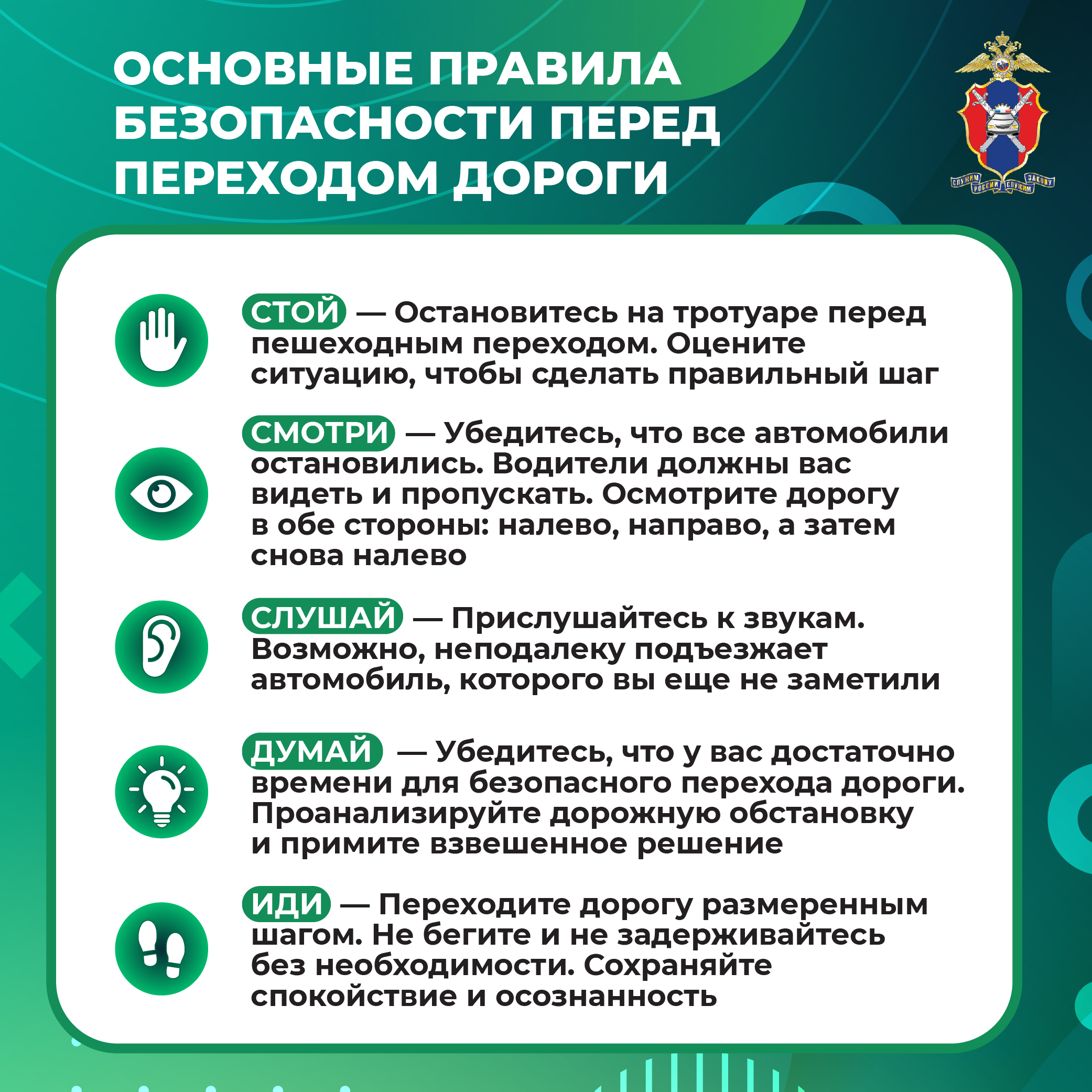 Медиапроект Пешеходы 11 (5)